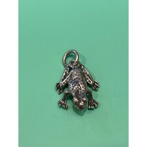 Frog Toad Sterling Silver Jewelry Charm #bugs